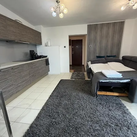 Limonka Z Tarasem Na Dachu Apartamento
